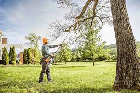 Best Seasonal Cleanup (Spring/Fall)  in Conestee, SC